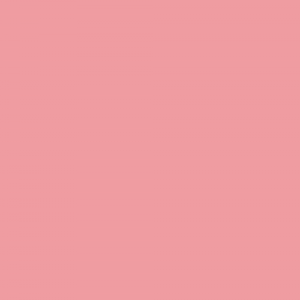 L5227 Bubblegum