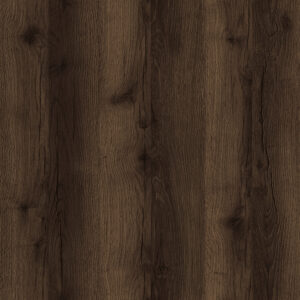 Quercus Oak D6922